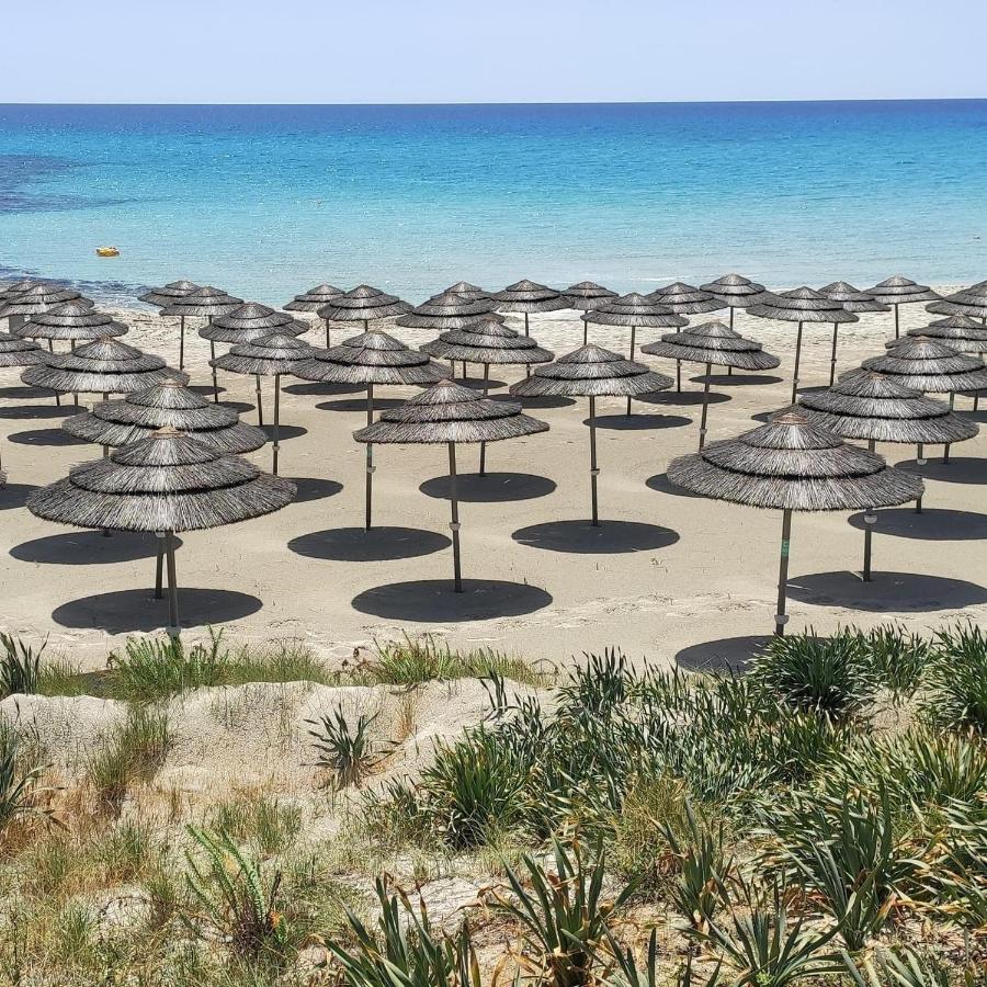 Apartament Narcissos 'nissi Beach' A8 *